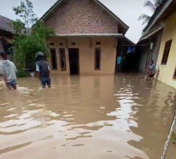 Hujan Semalaman, Dua Desa di Pringsewu Terendam Banjir Akibat Luapan Sungai Way Bulok