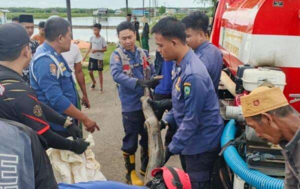 Heboh! Ular Piton 5 Meter Sembunyi Dekat Permukiman Warga, Tim Damkar Maros Lakukan Evakuasi Heboh! Ular Piton 5 Meter Sembunyi Dekat Permukiman Warga, Tim Damkar Maros Lakukan Evakuasi