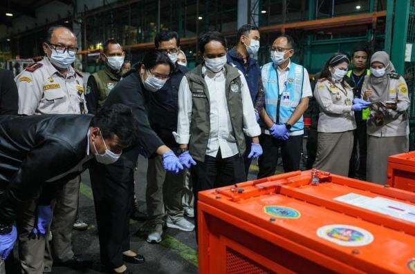 Empat Orang Utan Korban Perdagangan Satwa Liar Dipulangkan ke Indonesia Empat Orang Utan Korban Perdagangan Satwa Liar Dipulangkan ke Indonesia