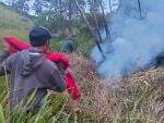 2 Kali Kebakaran Landa Bukit Kedaluh, 1 Hektar Lahan di Bromo Hangus