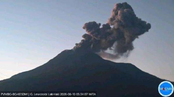 Gunung Lewotobi Laki-Laki Kembali Semburkan Abu 1.000 Meter, Status Siaga Gunung Lewotobi Laki-Laki Kembali Semburkan Abu 1.000 Meter, Status Siaga