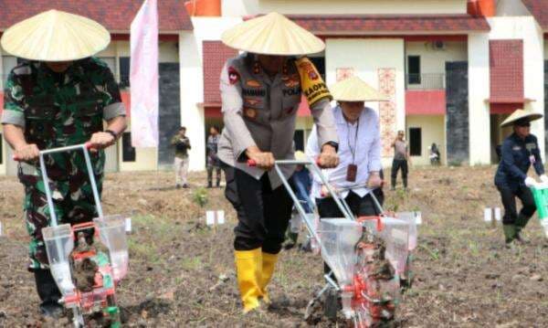 Dukung Program Tanam 1 Juta Hektar Jagung, Polda Kaltim Garap Lahan di Sekolah Polisi Negara Jonggon