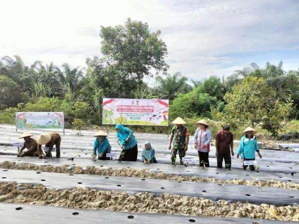 Wujudkan Ketahanan Pangan Pasca Pilkada, Ini yang Diakukan Kapolsek Pangkalan Kerinci