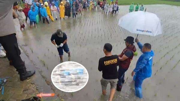 Gadis Cantik Tewas di Sawah Penuh Luka Tusukan di Sekujur Tubuh Hebohkan Gowa