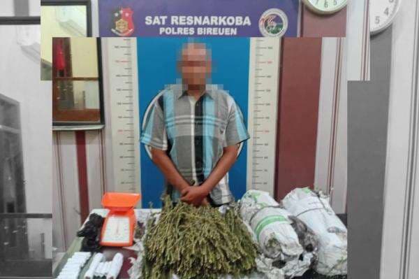 Polres Bireuen Tangkap Pelaku Pengedar Narkotika, 3000 Gram Ganja Kering Disita