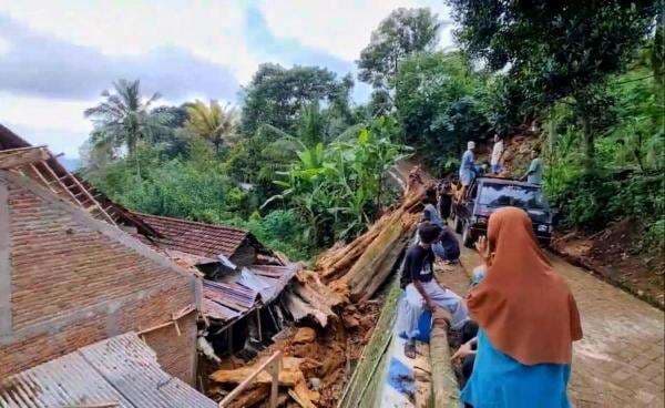 Pohon Keramat Berukuran Raksasa Mendadak Tumbang Menimpa Rumah Warga Ponorogo Pohon Keramat Berukuran Raksasa Mendadak Tumbang Menimpa Rumah Warga Ponorogo
