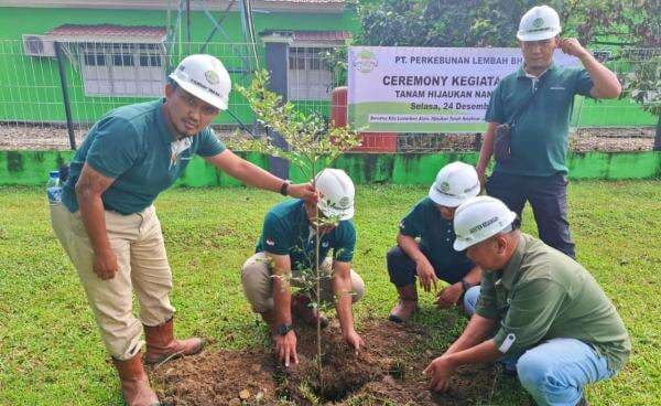 Peringatan 20 Tahun Tsunami Aceh, PT PLB Tanam Ribuan Pohon di Aceh Singkil