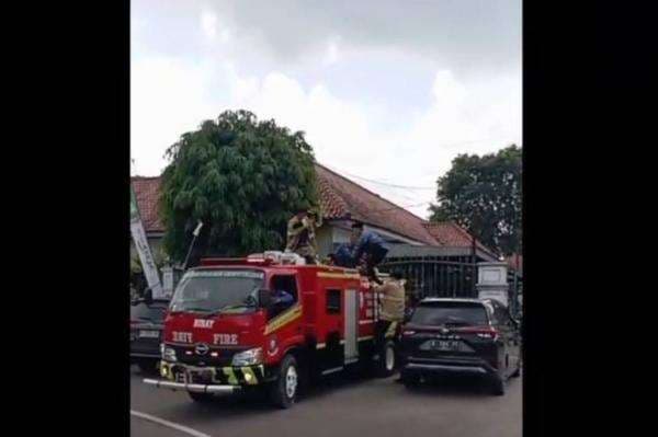 Viral Aksi Damkar Padamkan Kebakaran Pakai Baju Korpri, Rela Tinggalkan Pelantikan PPPK Viral Aksi Damkar Padamkan Kebakaran Pakai Baju Korpri, Rela Tinggalkan Pelantikan PPPK