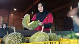 Resto Saoraja Depok Sajikan Durian Jatuhan Langsung dari Kebun, Pencinta Durian Wajib Coba!