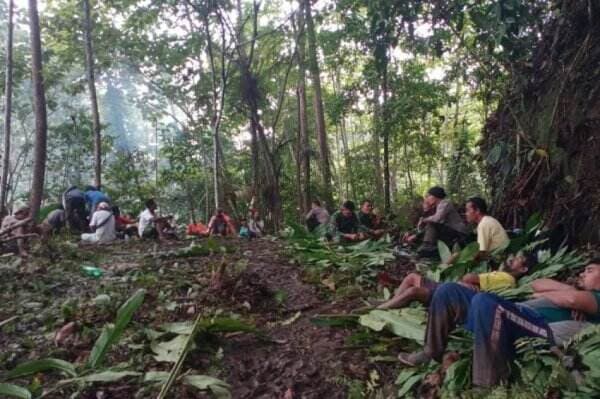 3 Fakta Hutan Halmahera, Hutan yang Ditempati Suku Togutil