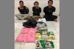 3 Kurir Narkoba Ditangkap, 5 Kg Sabu Gagal Diselundupkan lewat Dumai