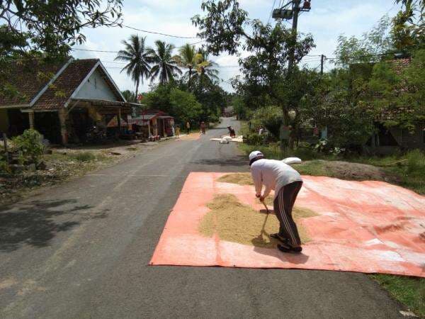 DPR Pastikan Naiknya HPP Gabah dan Jagung Dirasakan para Petani