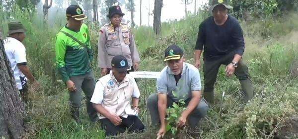 Perhutani KPH Pekalongan Barat Lakukan Penyulaman dan Pemeliharaan Tanaman di lereng Gunung Slamet