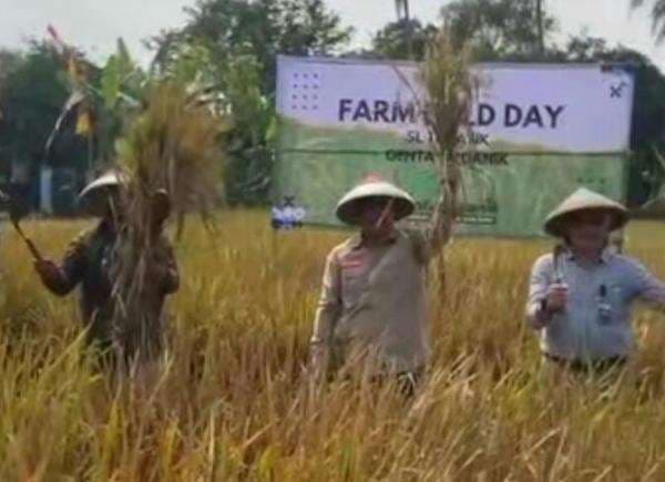 Dibantu Pompanisasi dari Program Kementan, Pemda KBB Mampu Surplus Beras