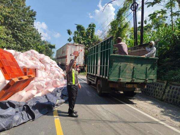 Truk Trailer Bermuatan Pupuk Terguling di Jalan Raya Bojonegoro - Ngawi, Ini Kronologinya Truk Trailer Bermuatan Pupuk Terguling di Jalan Raya Bojonegoro - Ngawi, Ini Kronologinya
