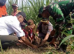 KPH Purwodadi, TNI, Polri dan Stakeholder Tanam Ratusan Pohon Buah di Ngaringan