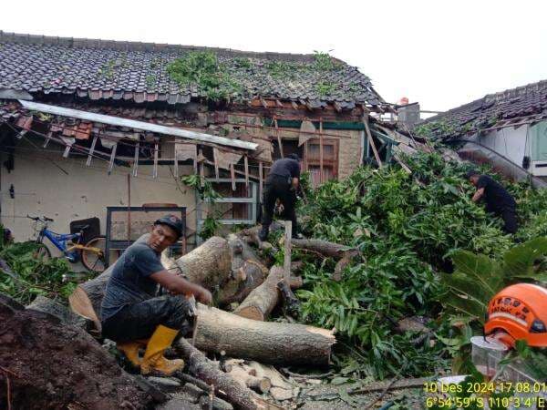 Cuaca Ekstrem Landa Kendal, Sejumlah Rumah Rusak Tertimpa Pohon Tumbang