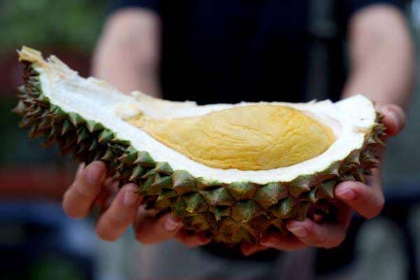 Ini Dia 7 Cara Memilih Durian yang Lezat Berkualitas