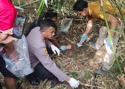 Tengkorak Manusia Ditemukan di Kebun Sawit di Perenap, Warga Mengaku Tidak Ada Kehilangan