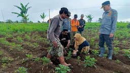 Hari Pohon Sedunia, Warga di Kampung Jayasena Garut Tanam 1000 Pohon