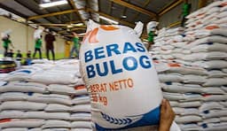 16 Juta Keluarga Jadi Penerima Bantuan Pangan pada 2025, Dapat 10 Kg Beras