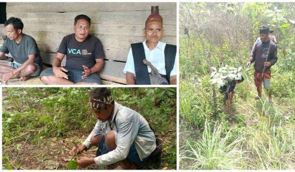 Kacuautang, Ritual Kampung Adat Wundut Menjaga Hutan Kacuautang, Ritual Kampung Adat Wundut Menjaga Hutan