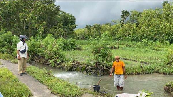 Warga Gunungkidul Dihebohkan oleh Dugaan Macan Berkeliaran di Sawah