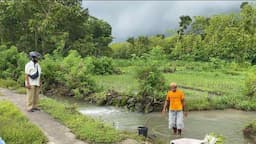 Warga Gunungkidul Dihebohkan oleh Dugaan Macan Berkeliaran di Sawah