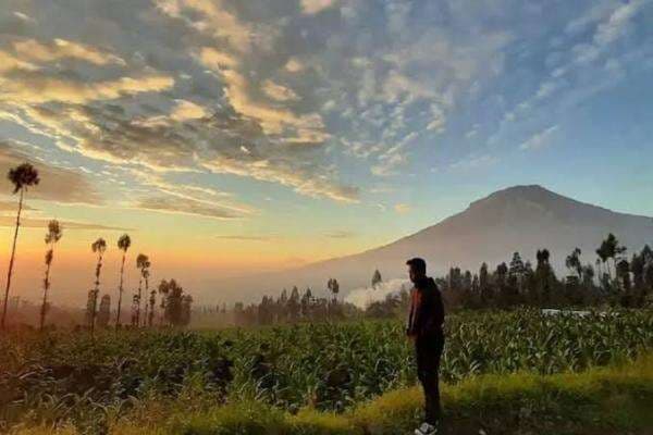 4 Alasan Temanggung Menjadi Tempat Ideal untuk Hidup Tenang