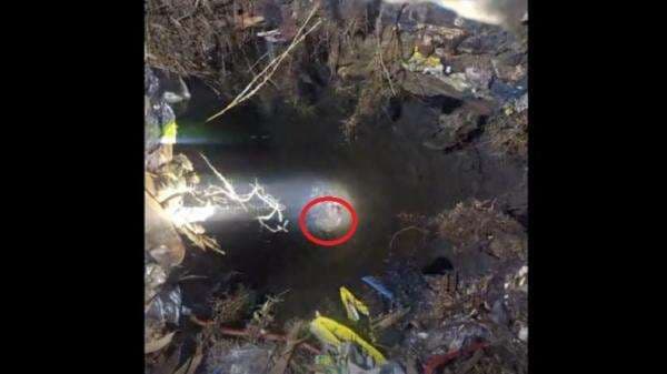 Lolos dari Maut, Pria di Bangkalan Ditemukan Lemas Terjebak 2 Hari di Sumur Tua Lolos dari Maut, Pria di Bangkalan Ditemukan Lemas Terjebak 2 Hari di Sumur Tua