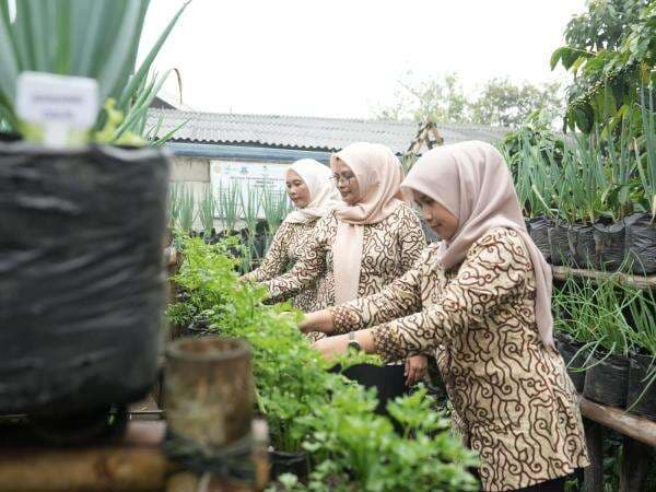 IFAD Tinjau Program UPLAND di Garut, Pastikan Tingkatkan Produktivitas dan Kesejahteraan Petani