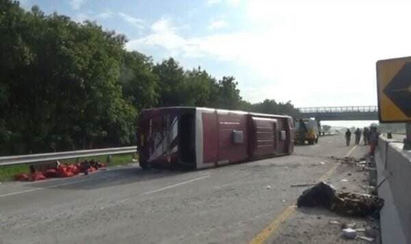 5 Fakta Bus Rombongan Satgas Hanura Terguling di Tol Ngawi, Sopir Diduga Mengantuk