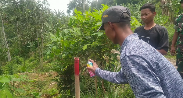 Program PPTPKH: Tiga Lokasi TPU di Desa Simpur dalam Kawasan Hutan Perhutani akan Resmi Milik Desa