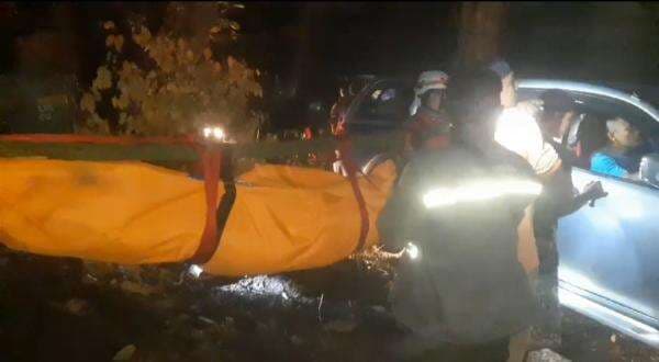 Seorang Pria Tewas Terjatuh Dari Atas Pohon Usai Disengat Tawon Saat Mencari Madu Hutan Seorang Pria Tewas Terjatuh Dari Atas Pohon Usai Disengat Tawon Saat Mencari Madu Hutan