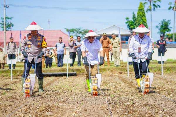 Dorong Swasembada Pangan, Pemprov Jatim Targetkan Luas Tanam Jagung 1,32 Juta Hektare