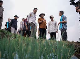 Dukung Ketahanan Pangan Indonesia, IsDB dan IFAD Lirik Pertanian Bawang Merah di Dataran Tinggi