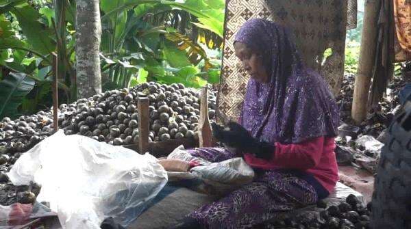 Mengintip Proses Pembuatan Kolang-Kaling di Desa Deudeul Tasikmalaya, Camilan Kenyal dari Buah Aren