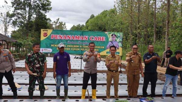 Polres Ciamis Dorong Ketahanan Pangan Lewat Penanaman Cabai Rawit Bersama Warga