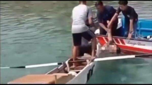 Viral! Ibu Rumah Tangga di Nisel Tewas Diterkam Buaya saat Mandi di Laut Viral! Ibu Rumah Tangga di Nisel Tewas Diterkam Buaya saat Mandi di Laut