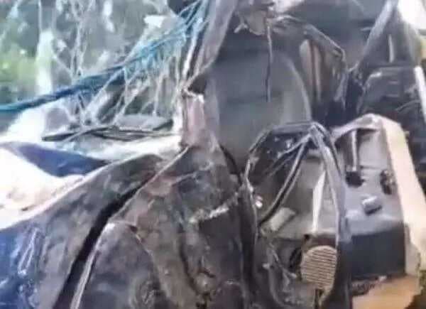 Minibus Tabrak Pohon, Dua Orang Meninggal, Akibat Rem Blong