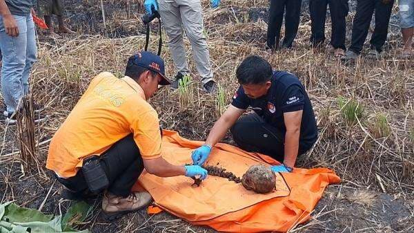 Kagetnya Wahidin Temukan Tengkorak Manusia saat Bersihkan Ladang di Tasikmalaya