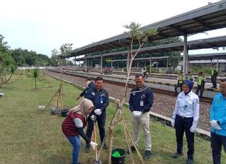 PT. KAI Tanam 200 Pohon Tabebuya di Stasiun Prujakan Demi Lingkungan Lebih Hijau dan Berkelanjutan