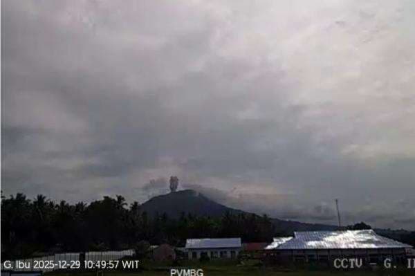 Gunung Ibu Meletus Hari Ini, Kolom Abu Capai 500 Meter dari Puncak Gunung Ibu Meletus Hari Ini, Kolom Abu Capai 500 Meter dari Puncak