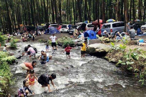 Tertib Sumbang Retribusi, Wisata Kali Pinusan Mendapat Apresiasi Bupati Lumajang Tertib Sumbang Retribusi, Wisata Kali Pinusan Mendapat Apresiasi Bupati Lumajang
