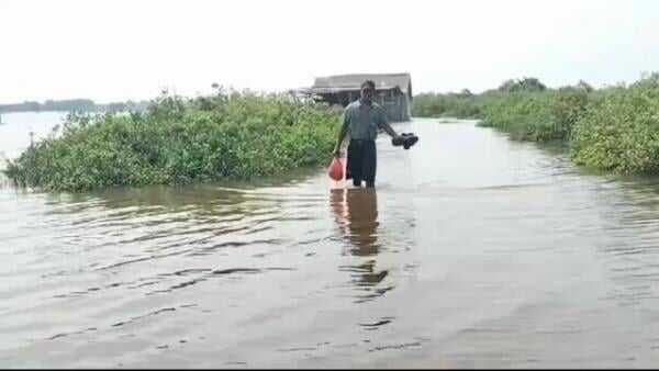 Banjir Rob Landa Babelan Bekasi, Petani Tambak Gagal Panen Ikan Bandeng