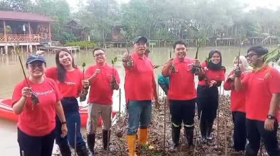 Peduli Lingkungan, PT Bungasari Tanam Mangrove di Tanjung Lesung untuk Cegah Abrasi