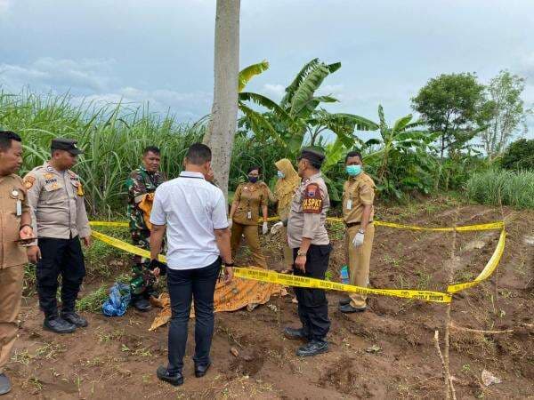 Kakek 73 Tahun Ditemukan Meninggal di Persawahan di Kudus