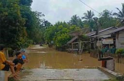 Banjir Rendam Gampong Julok Rayeuk Utara, 300 KK Terdampak