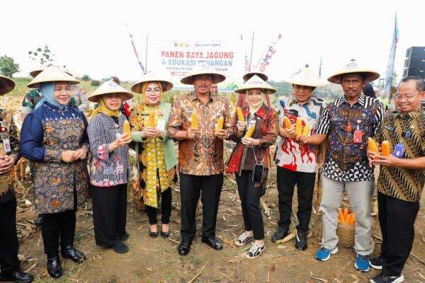 Panen Jagung di Grobogan Hasilkan Rp20,49 Miliar, Pakai Sistem Tanam Methuk