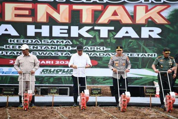 Dukung Swasembada Pangan, 13 Hektare Lahan di Subang Ditanami Jagung